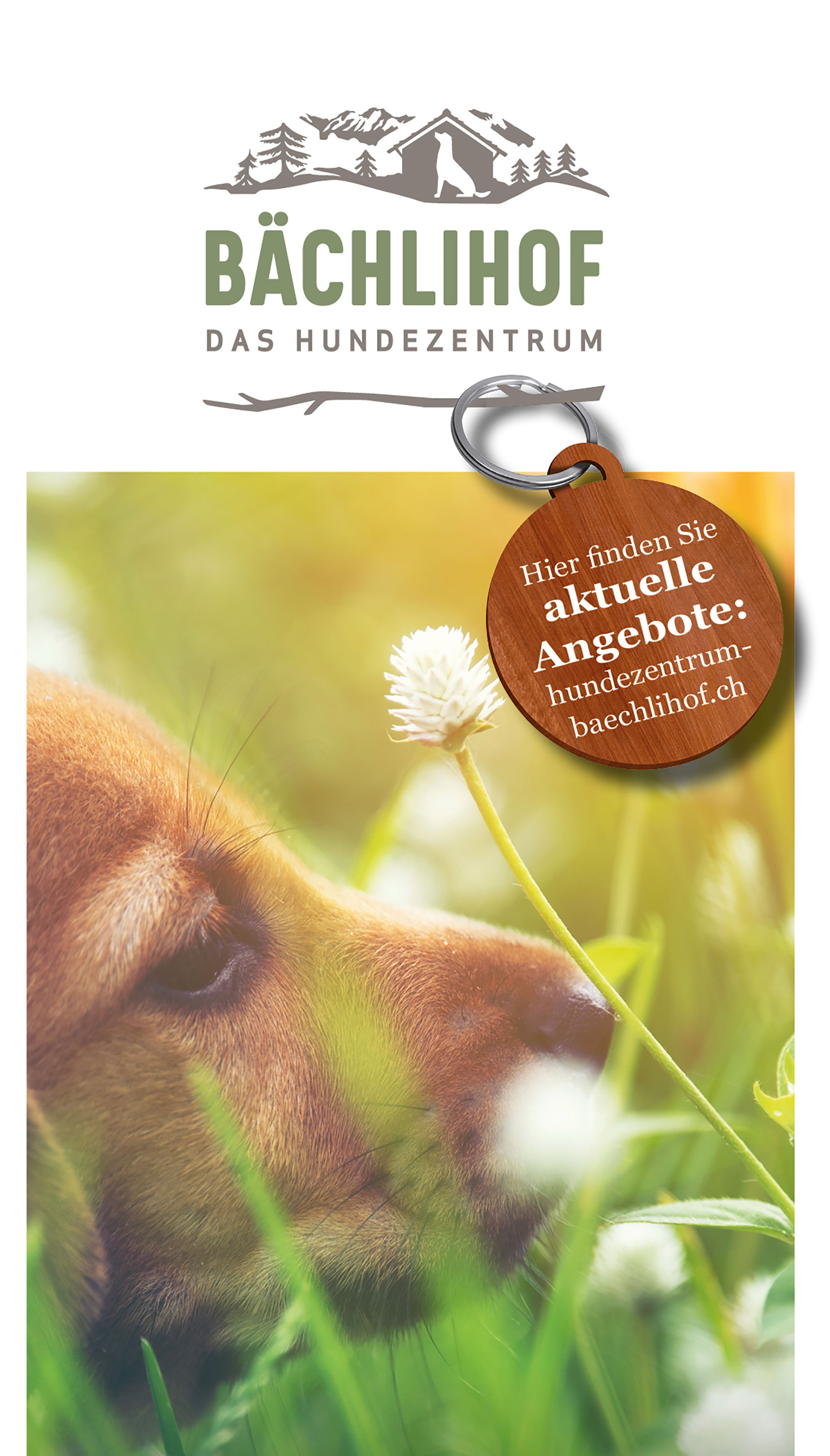 Baechlihof_Hundezentrum_Preisliste2021.jpg